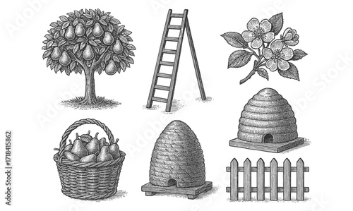 Vintage fruit tree and beehive collection with rustic elements