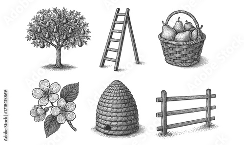 Vintage farm elements: pear tree, basket, ladder, blossoms, beehive, fence art
