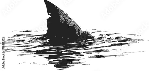Shark fin sketch hand drawn style above water surface — stock vector