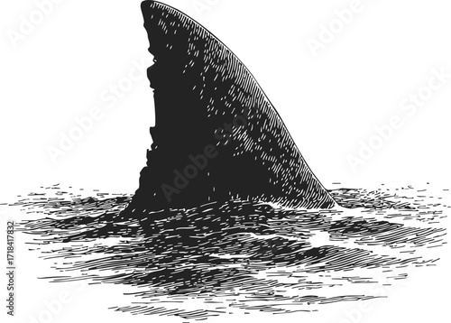 Shark fin sketch hand drawn style emerging from ocean surface — stock vector