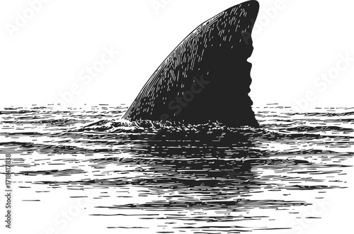 Shark fin sketch hand drawn style emerging from water surface — stock vector