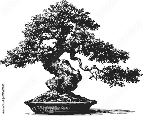Bonsai tree sketch hand drawn style with detailed foliage and textured trunk — stock vector