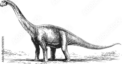 Brachiosaurus sketch hand drawn dinosaur with long neck and tail in prehistoric landscape — stock vector