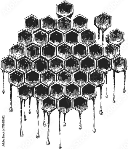 Honeycomb sketch hand drawn with dripping honey, detailed hexagonal cells — stock vector