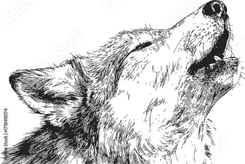 Wolf howling sketch, hand drawn style, close up animal portrait — stock vector