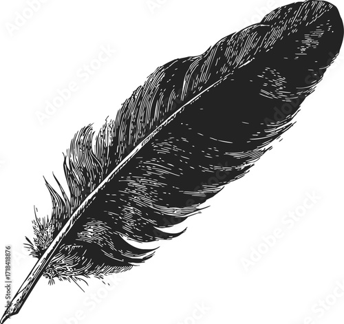 Feather sketch hand drawn black and white detailed engraving — stock vector