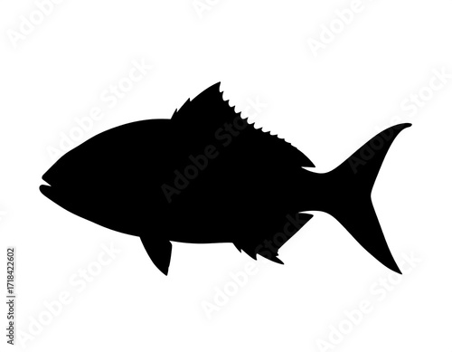 Silhouette of a fish