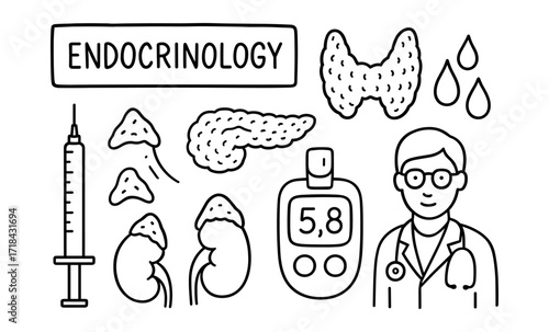 Medical endocrinology icons featuring doctor, organs, and syringe in linear style