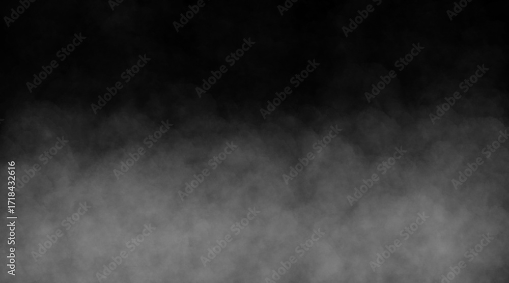 Fototapeta premium 