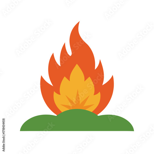 flame of fire rising from the midst of a bush in forest