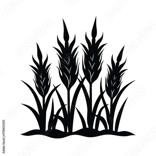 withered crops symbolizing biblical famine on white background