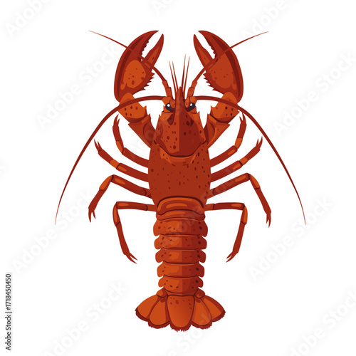 Rock Lobster illustration with detailed features and vibrant colors, transparent background, isolated, vector  