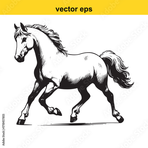 Vector art of elegant horse trotting in vector format