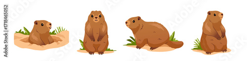 Set of cute Groundhogs. Marmots peeking out of earthen hole and rodents sitting in grass. Wild Animals. Groundhog Day Celebration Design. Cartoon vector illustration collection
