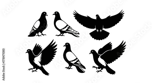 A collection of black and white pigeon silhouettes in various poses on a white background vector art