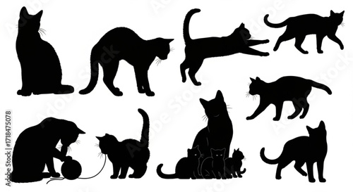 Vector Isolated Silhouette Cat Set - Blac