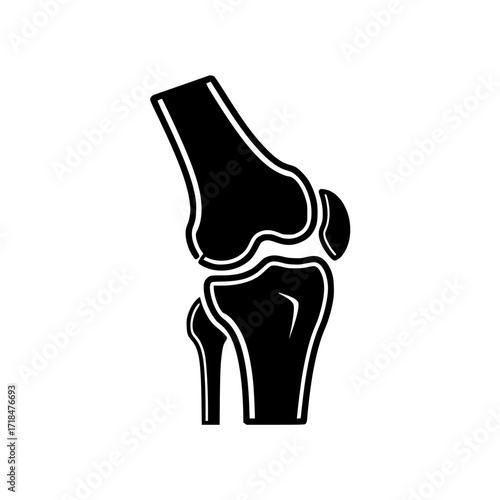 medical icon of a human knee joint skeleton and bone anatomy.