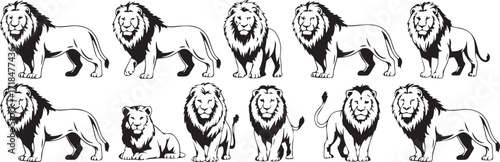 black and white lion vector illustrations set bold lineart poses mane study royalty and heraldic badge designs