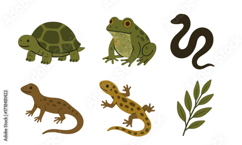 Vintage reptile and amphibian collection with turtle, frogs, snake, lizards, and foliage