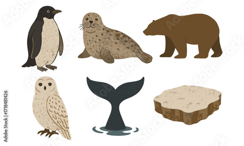 Arctic wildlife collection: penguin, seal, bear, owl, whale tail, iceberg