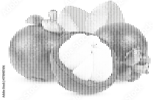 Screen Print Mangosteen Halftone Dots Fruit Vector Design