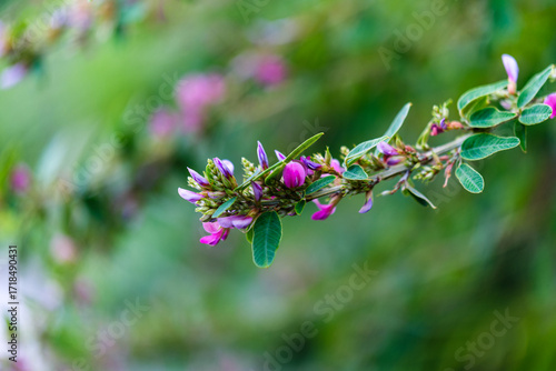散歩の途中で見つけた光景