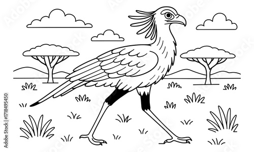 Elegant secretary bird striding through african savannah - ideal for coloring book or educational material design