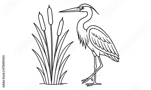 Minimalist heron and reeds illustration for nature themed decor or prints