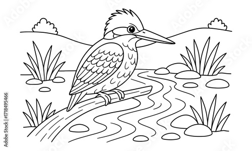 Kingfisher coloring page for nature enthusiasts and bird lovers