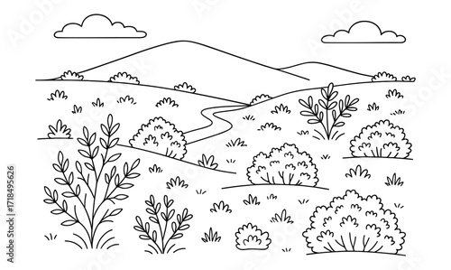 Chaparral hillside coloring page for nature and landscape art projects