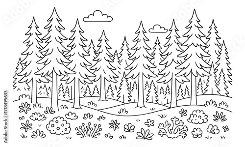 Taiga forest coloring page for nature lovers and creative relaxation