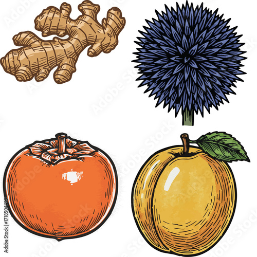 linocut print style fruits & plants