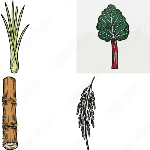 linocut print style fruits & plants