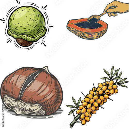 linocut print style fruits & plants