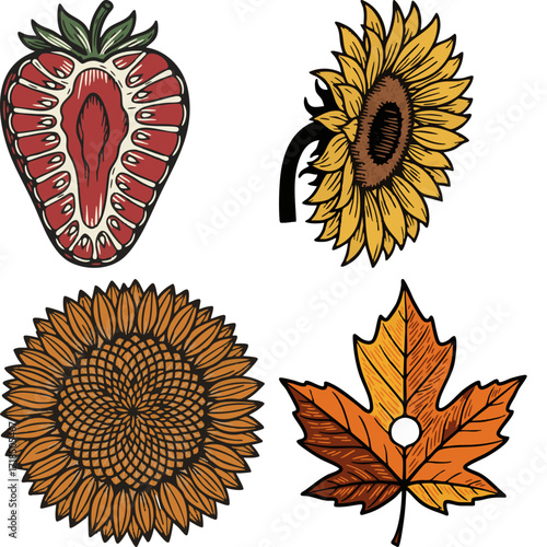 linocut print style fruits & plants