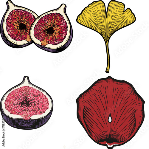 linocut print style fruits & plants