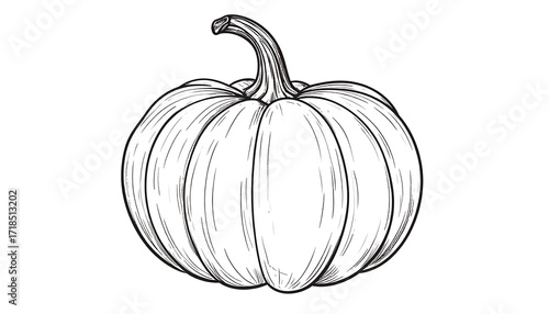 Hand-drawn illustration of a pumpkin