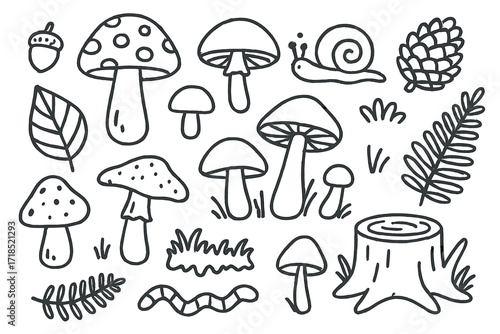 Forest Doodle Icons. Hand-drawn doodle illustration Forest fungi, mushroom, toadstool, spore, cap, stem, gills, forest leaf, acorn, pine cone, snail, moss,