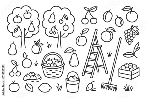 Fruit Harvest Doodle. Fruit orchard harvest. Hand-drawn doodle illustration fruit orchard harvest apple, pear, cherry, plum, peach, grapes, orange, lemon,