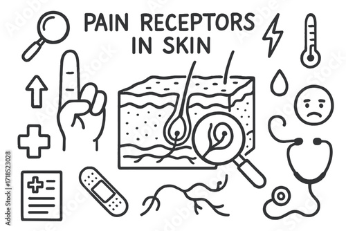 Pain Receptor Diagram. Hand-drawn doodle illustration pain receptors in skin skin layer diagram, nerve ending, receptor bulb, finger tip, signal arrow, neuron,