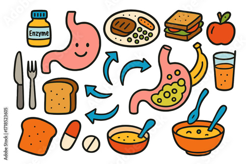 Digestive Journey Doodle. Colorful Hand-drawn doodle Children illustration Stomach and digestion stomach organ, acid bubbles, food plate, sandwich, apple,