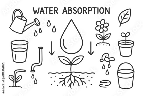 Water Absorption Doodles. Water absorption. Hand-drawn doodle illustration water absorption droplet, roots, plant, soil, arrows, watering can, rain cloud,