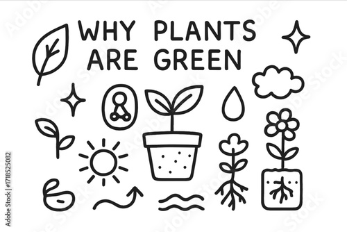 Green Plant Symbols. Hand-drawn doodle illustration Why Plants Are Green [leaf, chlorophyll symbol, sparkle, star, sun, droplet, cloud, wave, sprout, flower,