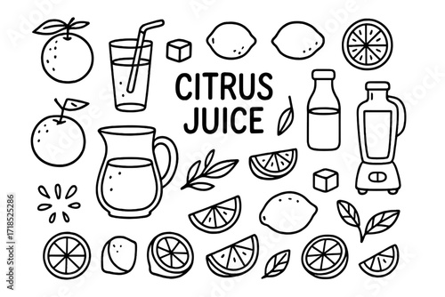 Citrus Juice Doodle. Hand-drawn doodle illustration Citrus juice, orange, lemon, lime, grapefruit, glass of juice, straw, pitcher, blender, ice cubes, splash,