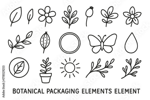 Botanical Doodle Elements. Hand-drawn doodle illustration Botanical packaging elements [leaf, flower, herbal sprig, bud, blossom, vine, seed pod, circle frame,