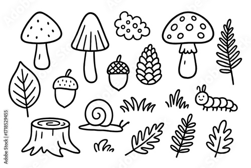 Woodland Doodle Illustration. Hand-drawn doodle illustration Woodland fungi, mushroom, toadstool, spore, cap, stem, gills, forest leaf, acorn, pine cone,