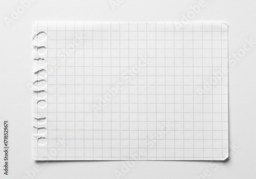 Notepad Page with Grid Lines, Journal Sticker Concept. A blank sheet of checkered paper