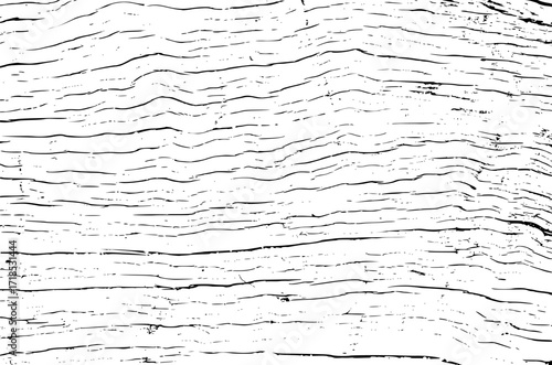 Tree bark texture