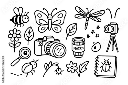 Insect Macro Doodle Icons. Hand-drawn doodle illustration Insect macro photography [bee, butterfly, dragonfly, flower, leaf, macro lens, camera, tripod,