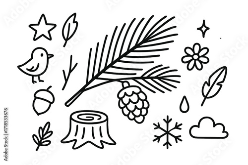 Nature Doodle Elements. Hand-drawn doodle illustration Pine Branch [pine branch, needles, pine cone, twig, star, leaf, bird, acorn, sparkles, stump, flower,